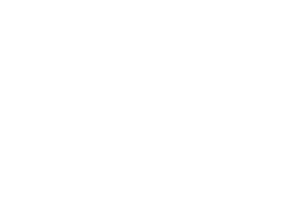 TRENTINO A. A.